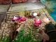 gal/2023/18 Vanoce 2023/_thb_image016.jpg